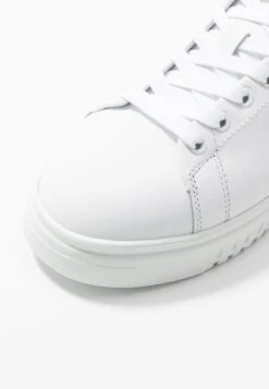 Emporio Armani Trainers - White/Ecru -Stride Shop 9f374709082549819d810e6e55e9c8ed