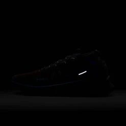 Nike Men's React Pegasus Trail 4 GORE-TEX Running Shoes - Velvet Brown -Stride Shop FB2193 200 M Nike PegasusTrail4GORE TEX dark