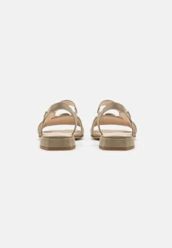 Gabor Comfort Sandals - Schilf -Stride Shop fdb802ad68414cb2b2c7de04cd1e0b39